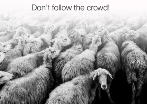 Don’t follow the crowd! . . . The Onset leading the pack 